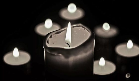 ѧϰ��Ⱥ�����²š��������ĵ����