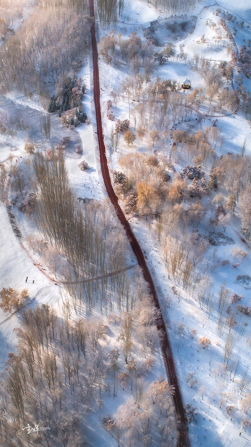 ѩ��ô���µ���ô����