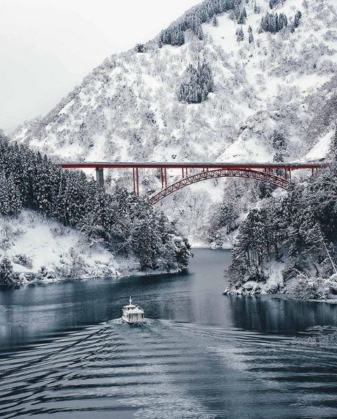 ѩ��ô���µ���ô����