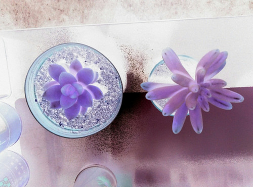 1557111414196350.jpg 3832844757969456616.jpg