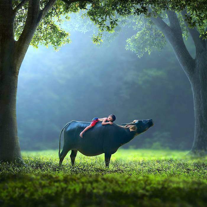 1557111494177764.jpg RjJ2ZnNYeExua1VzOFVmK3RtaUlIZ0pLVDh6VFRwNCsvNEd1MU1SOVJ1ZHFkQXo0dnJaSGdRPT0.jpg