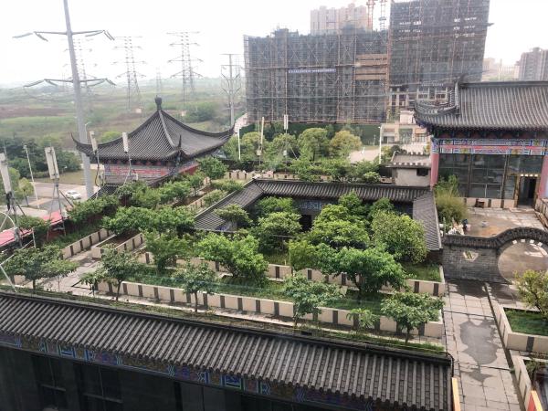 安徽墓地老板博物馆里开酒店 养巨型娃娃鱼和孔雀