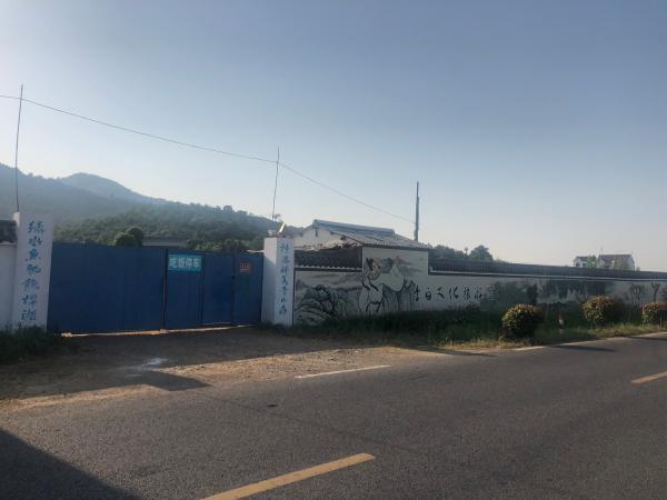 安徽墓地老板博物馆里开酒店 养巨型娃娃鱼和孔雀